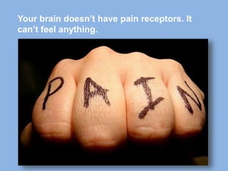 Your brain doesn’t have pain receptors. It
can’t feel anything.
 
