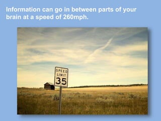 Information can go in between parts of your
brain at a speed of 260mph.
 