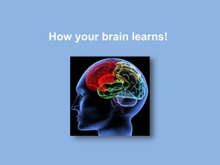How your brain learns!
 