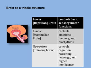 Brain as a triadic structure
Lower
[Reptilian] Brain
controls basic
sensory motor
functions
Limbic
[Mammalian
Brain]
controls
emotions,
memory, and
biorhythms
Neo-cortex
[‘thinking brain’]
controls
cognition,
reasoning,
language, and
higher
intelligence
 