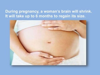 During pregnancy, a woman’s brain will shrink.
It will take up to 6 months to regain its size.
 