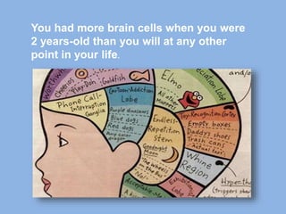 You had more brain cells when you were
2 years-old than you will at any other
point in your life.
 