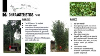 PALM TREE
● Tall (8-10 metres ) & thin bark
● Grow in the tropics
● Palms inhabit a variety of ecosystems :
poor drainage area or regular flooding,
tropical mountain habitats, grasslands
and scrublands, desert oases, extremely
basic lime soils
● General uses: cultivation of the date palm,
palm wood, rattan cane
PALMSCHARACTERISTICS05
BAMBOO
● Tall (9-10 metres)
● Quick-growing, versatile , non-timber
forest product whose rate of biomass
generation is unsurpassed by any
other plants.
● Has a higher compressive
strength than wood, brick, or concrete
and a tensile strength that rivals steel
● Main feature : culms, which are strong,
straight, smooth, light, hard and
hollow
● Small, narrow leaves
● General Uses : used for building
materials, as a food source, and as a
versatile raw product.
 