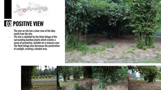 03 POSITIVE VIEW
- The user on site has a clear view of the lake,
south from the site.
- The site is shielded by the thick foliage of the
surrounding bamboo plants which creates a
sense of protection, suitable for a insecure user.
- The thick foliage also decreases the penetration
of sunlight, creating a shaded area.
 
