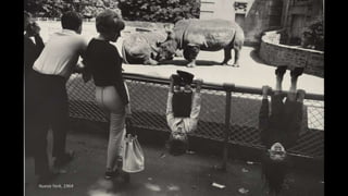 Nueva York, 1964
 