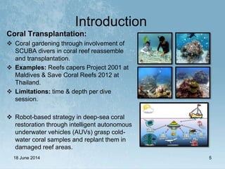 (Msc Thesis) Sparse Coral Classification Using Deep Convolutional ...