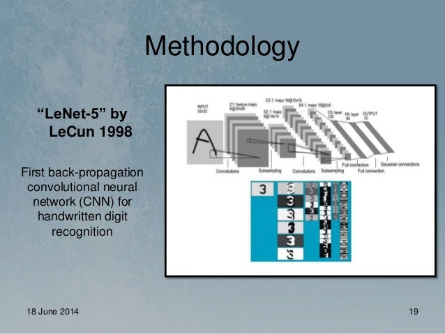definition coral problem Coral Classification (Msc Deep Sparse Using Thesis) definition coral problem Coral Classification (Msc Deep Sparse Using Thesis)