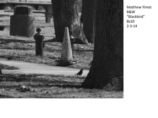 Matthew Yimet
B&W
“Blackbird”
8x10
2-3-14

 