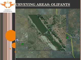 SURVEYING AREAS: OLIFANTS 