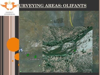 SURVEYING AREAS: OLIFANTS 