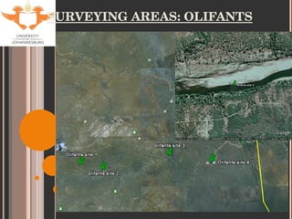SURVEYING AREAS: OLIFANTS 