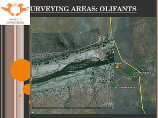 SURVEYING AREAS: OLIFANTS 