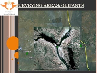 SURVEYING AREAS: OLIFANTS 