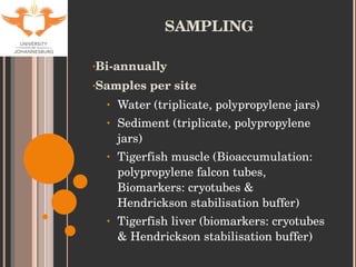 SAMPLING Bi-annually Samples per site Water (triplicate, polypropylene jars) Sediment (triplicate, polypropylene jars) Tigerfish muscle (Bioaccumulation: polypropylene falcon tubes, Biomarkers: cryotubes & Hendrickson stabilisation buffer) Tigerfish liver (biomarkers: cryotubes & Hendrickson stabilisation buffer) 