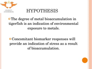 HYPOTHESIS The degree of metal bioaccumulation in tigerfish is an indication of environmental exposure to metals. Concomitant biomarker responses will provide an indication of stress as a result of bioaccumulation. 