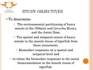 STUDY OBJECTIVES To determine The environmental partitioning of heavy metals in the Olifants and Levuvhu Rivers, and the Jozini Dam, The spatial and temporal extent of heavy metals in the muscle tissue of tigerfish from these ecosystems. Biomarker responses on a spatial and temporal level and to relate the biomarker responses to the metal bioaccumulation in the muscle tissue of tigerfish. 