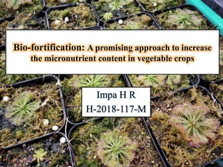 Bio-fortification: A promising approach to increase
the micronutrient content in vegetable crops
Impa H R
H-2018-117-M
 