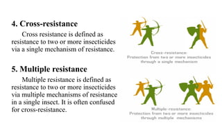 Multiple Resistance Insecide DEVELOPMENT OF RESISTANCE TO INSECTICIDES BY INSECTS | PPTX