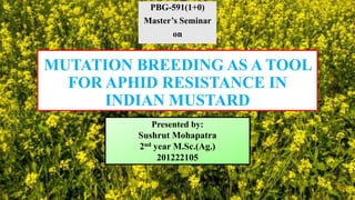 MUTATION BREEDING AS A TOOL
FOR APHID RESISTANCE IN
INDIAN MUSTARD
PBG-591(1+0)
Master’s Seminar
on
Presented by:
Sushrut Mohapatra
2nd year M.Sc.(Ag.)
201222105
1
 
