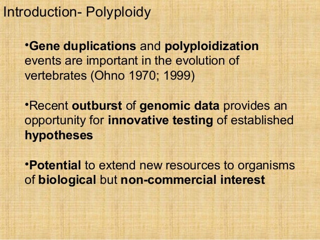 1970 masters thesis