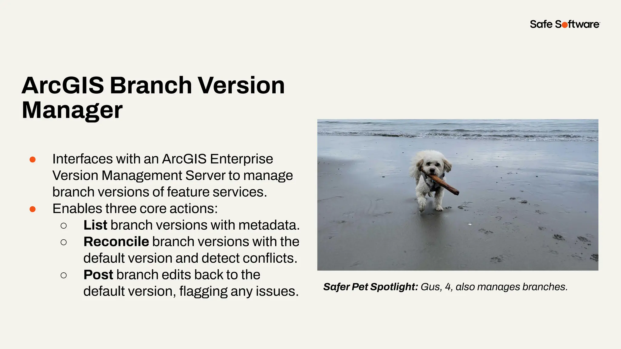 ● Interfaces with an ArcGIS Enterprise
Version Management Server to manage
branch versions of feature services.
● Enables three core actions:
○ List branch versions with metadata.
○ Reconcile branch versions with the
default version and detect conﬂicts.
○ Post branch edits back to the
default version, ﬂagging any issues.
ArcGIS Branch Version
Manager
Safer Pet Spotlight: Gus, 4, also manages branches.
 