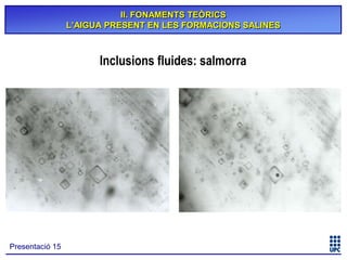 II. FONAMENTS TEÒRICS
L’AIGUA PRESENT EN LES FORMACIONS SALINES

Inclusions fluides: salmorra

Presentació 15

 
