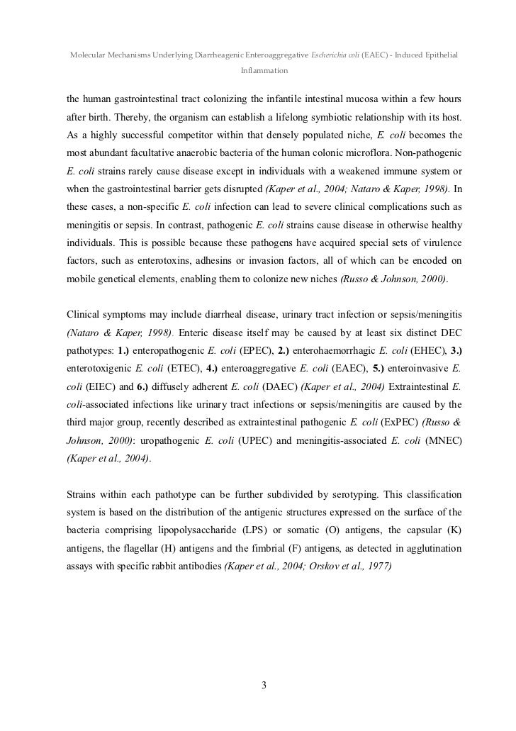 Master thesis e