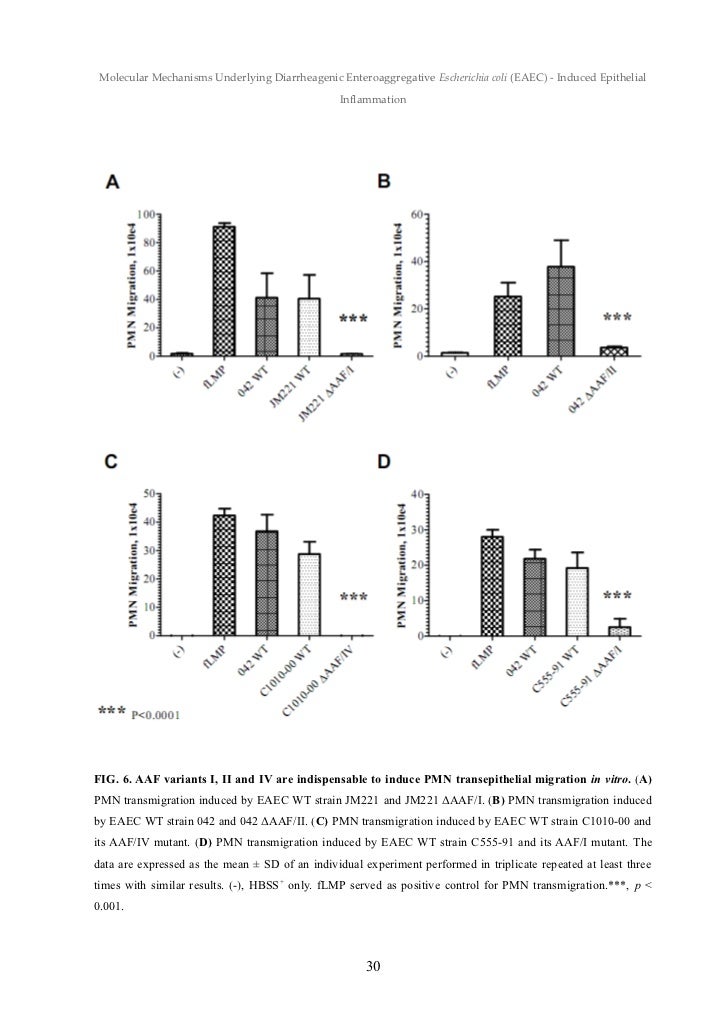 Anja kettner dissertation
