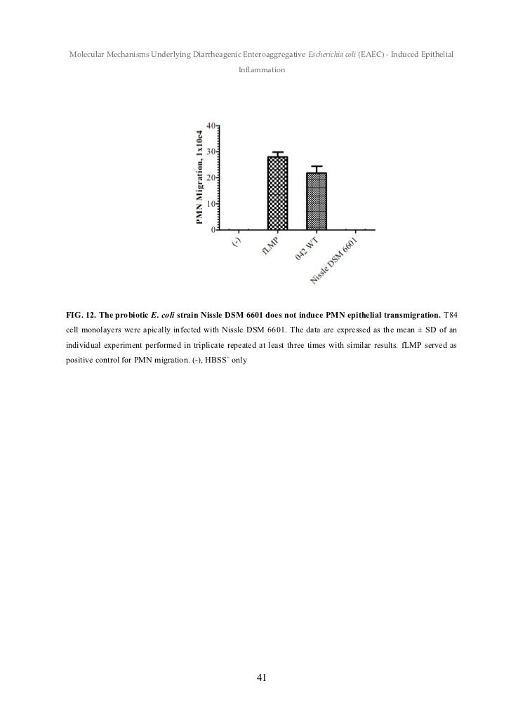 Anja kettner dissertation