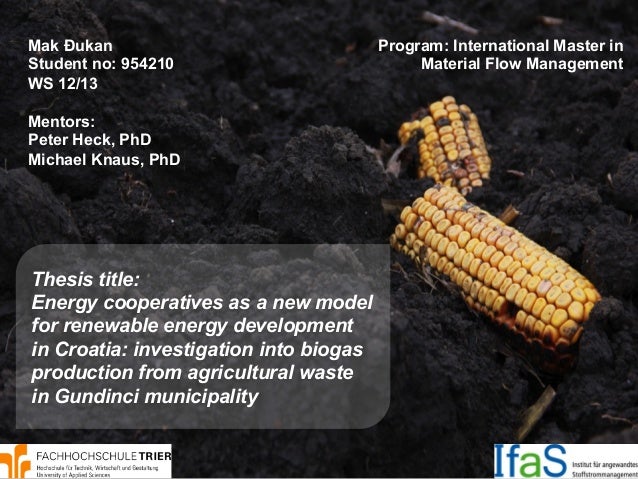 Master thesis biogas