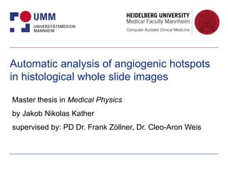 Automatic analysis of angiogenic hotspots
in histological whole slide images
Master thesis in Medical Physics
by Jakob Nikolas Kather
supervised by: PD Dr. Frank Zöllner, Dr. Cleo-Aron Weis
 