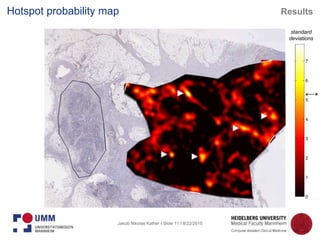 Jakob Nikolas Kather I Slide 11 I 8/22/2015
standard
deviations
Hotspot probability map Results
 