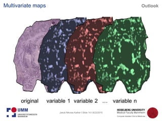 Jakob Nikolas Kather I Slide 14 I 8/22/2015
Multivariate maps Outlook
 