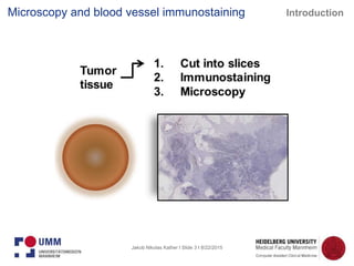 Jakob Nikolas Kather I Slide 3 I 8/22/2015
Microscopy and blood vessel immunostaining Introduction
 