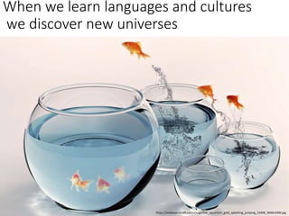 When we learn languages and cultures
we discover new universes
https://wallpaperscraft.com/image/fish_aquarium_gold_splashing_jumping_15008_3840x2400.jpg
 