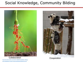 http://25.media.tumblr.com/tumblr_lji68aRiT61qa2e9qo1_500.jpg
http://thefabweb.com/wp-content/uploads/2012/03/UU1xt.jpg
Social Knowledge, Community Bilding
Collaboration Cooperation
 