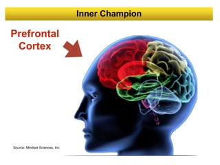 Prefrontal
Cortex
Inner Champion
Source: Mindset Sciences, Inc
 