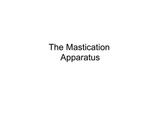 The Mastication
Apparatus
 