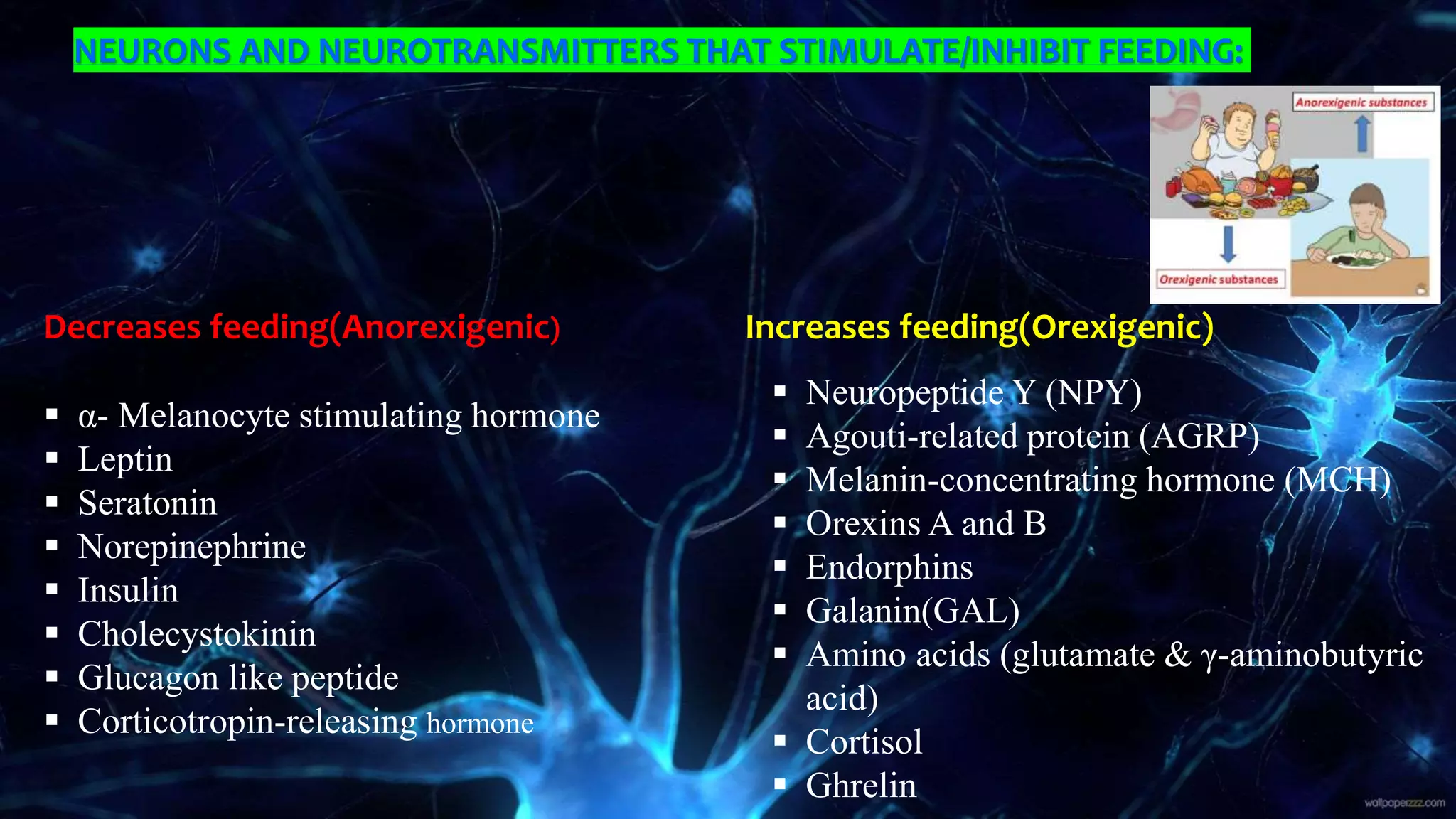 NEURONS AND NEUROTRANSMITTERS THAT STIMULATE/INHIBIT FEEDING:
Decreases feeding(Anorexigenic) Increases feeding(Orexigenic)
 α- Melanocyte stimulating hormone
 Leptin
 Seratonin
 Norepinephrine
 Insulin
 Cholecystokinin
 Glucagon like peptide
 Corticotropin-releasing hormone
 Neuropeptide Y (NPY)
 Agouti-related protein (AGRP)
 Melanin-concentrating hormone (MCH)
 Orexins A and B
 Endorphins
 Galanin(GAL)
 Amino acids (glutamate & γ-aminobutyric
acid)
 Cortisol
 Ghrelin
 