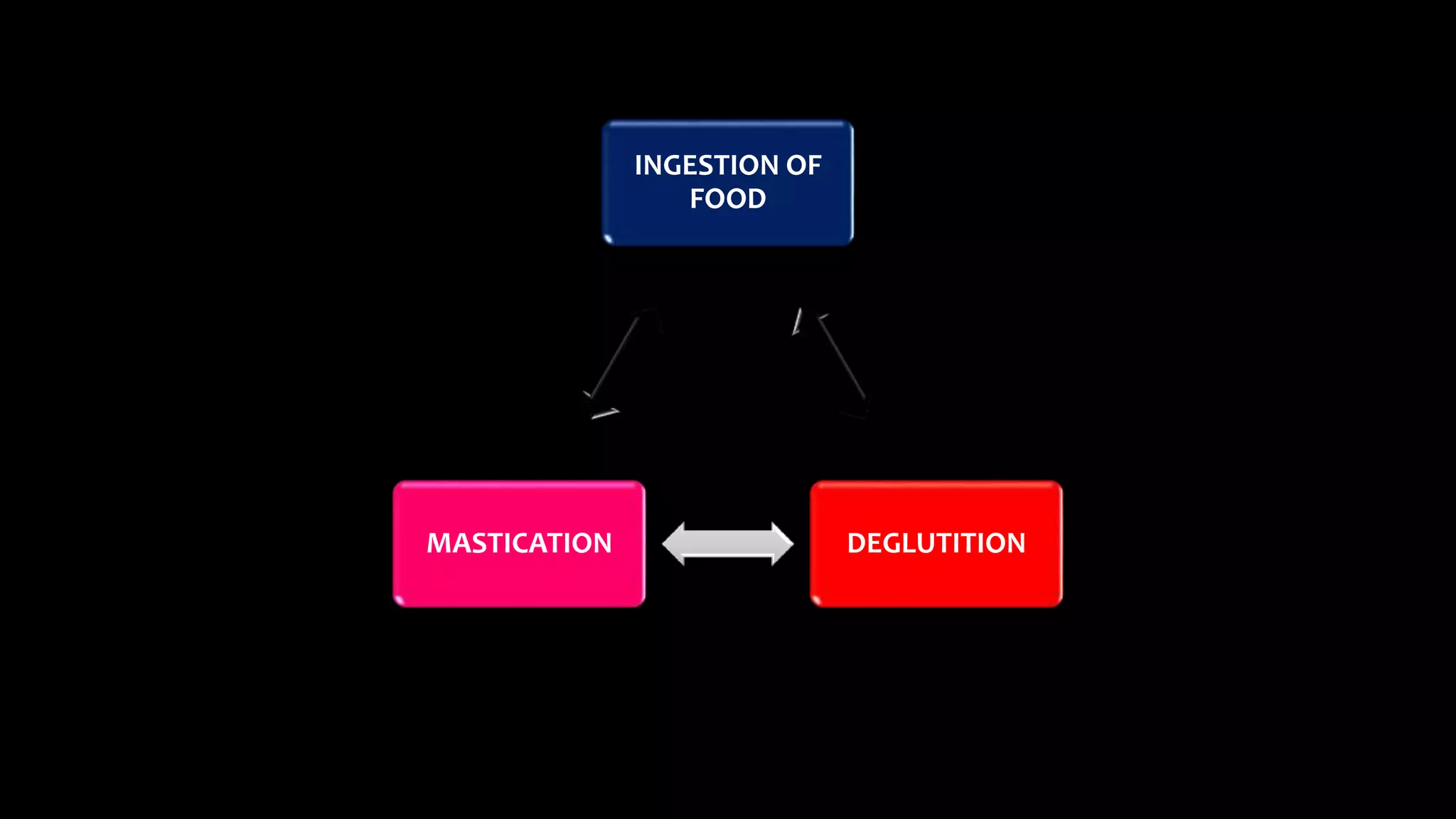 INGESTION OF
FOOD
DEGLUTITIONMASTICATION
 