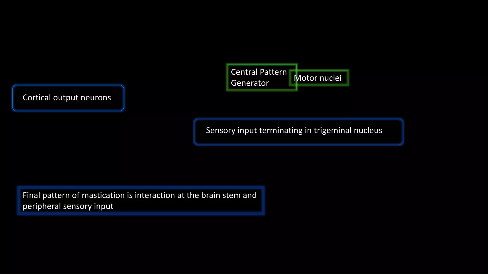 Cortical output neurons
Central Pattern
Generator
Motor nuclei
Sensory input terminating in trigeminal nucleus
Final pattern of mastication is interaction at the brain stem and
peripheral sensory input
 
