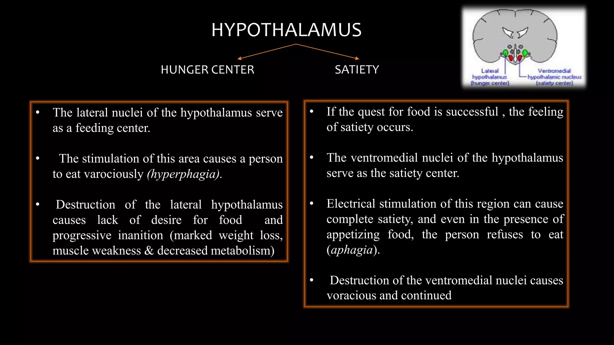 HYPOTHALAMUS
HUNGER CENTER SATIETY
• The lateral nuclei of the hypothalamus serve
as a feeding center.
• The stimulation of this area causes a person
to eat varociously (hyperphagia).
• Destruction of the lateral hypothalamus
causes lack of desire for food and
progressive inanition (marked weight loss,
muscle weakness & decreased metabolism)
• If the quest for food is successful , the feeling
of satiety occurs.
• The ventromedial nuclei of the hypothalamus
serve as the satiety center.
• Electrical stimulation of this region can cause
complete satiety, and even in the presence of
appetizing food, the person refuses to eat
(aphagia).
• Destruction of the ventromedial nuclei causes
voracious and continued
 