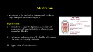 Mastication Process Comprehensive Overview of Mastication and Deglutition Processes in ...