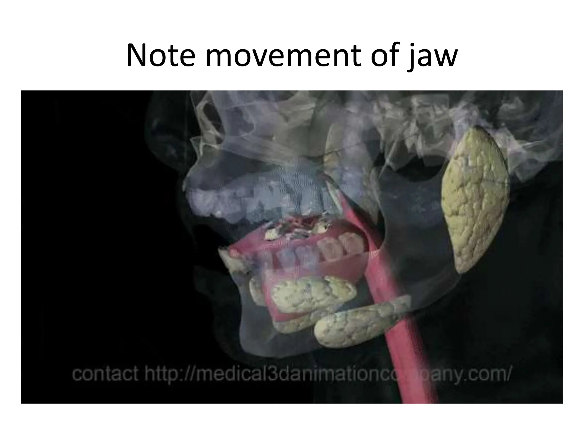 Note movement of jaw
 