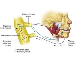 Git Reflex Classify Physiology Of GIT Mastication and Deglutition reflex.pptx