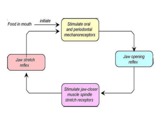 Git Reflex Classify Physiology Of GIT Mastication and Deglutition reflex.pptx