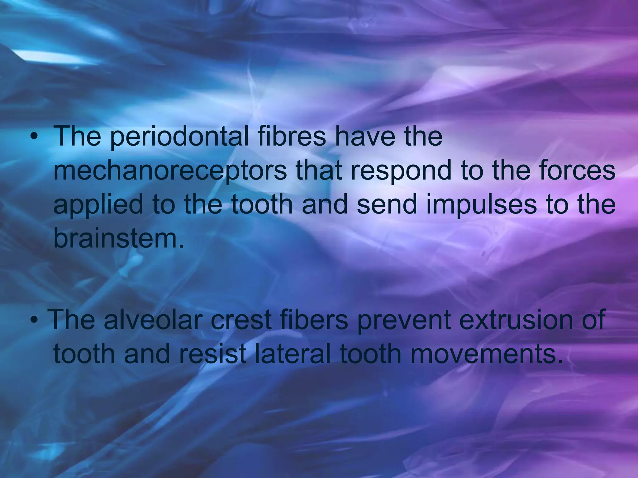 • The periodontal fibres have the
mechanoreceptors that respond to the forces
applied to the tooth and send impulses to the
brainstem.
• The alveolar crest fibers prevent extrusion of
tooth and resist lateral tooth movements.
 