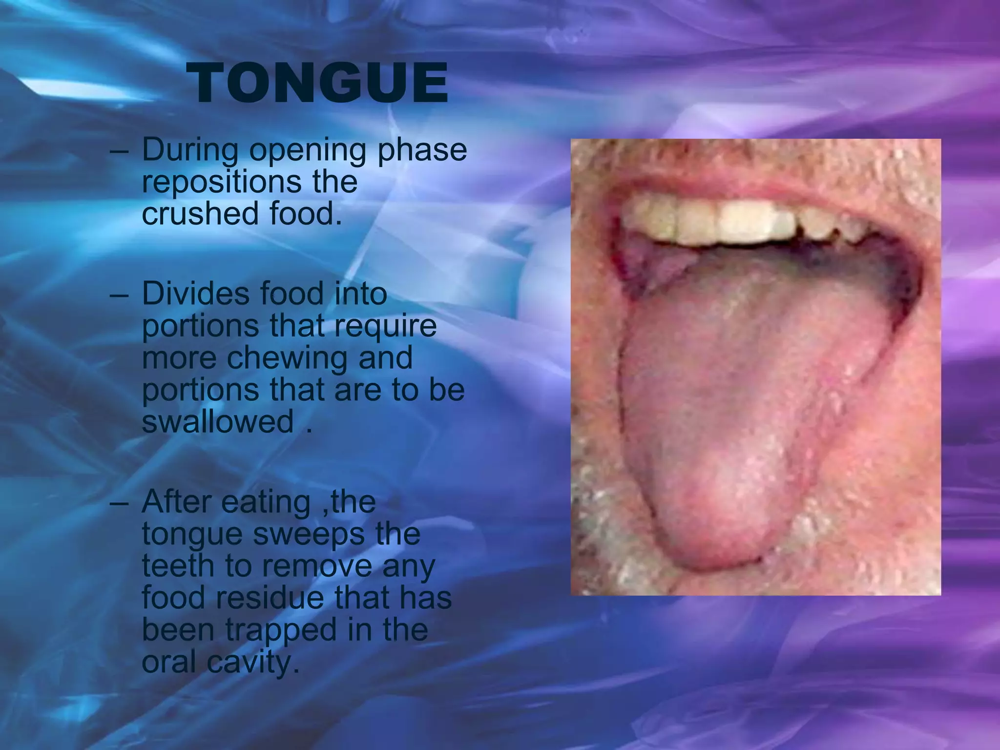 TONGUE
– During opening phase
repositions the
crushed food.
– Divides food into
portions that require
more chewing and
portions that are to be
swallowed .
– After eating ,the
tongue sweeps the
teeth to remove any
food residue that has
been trapped in the
oral cavity.
 