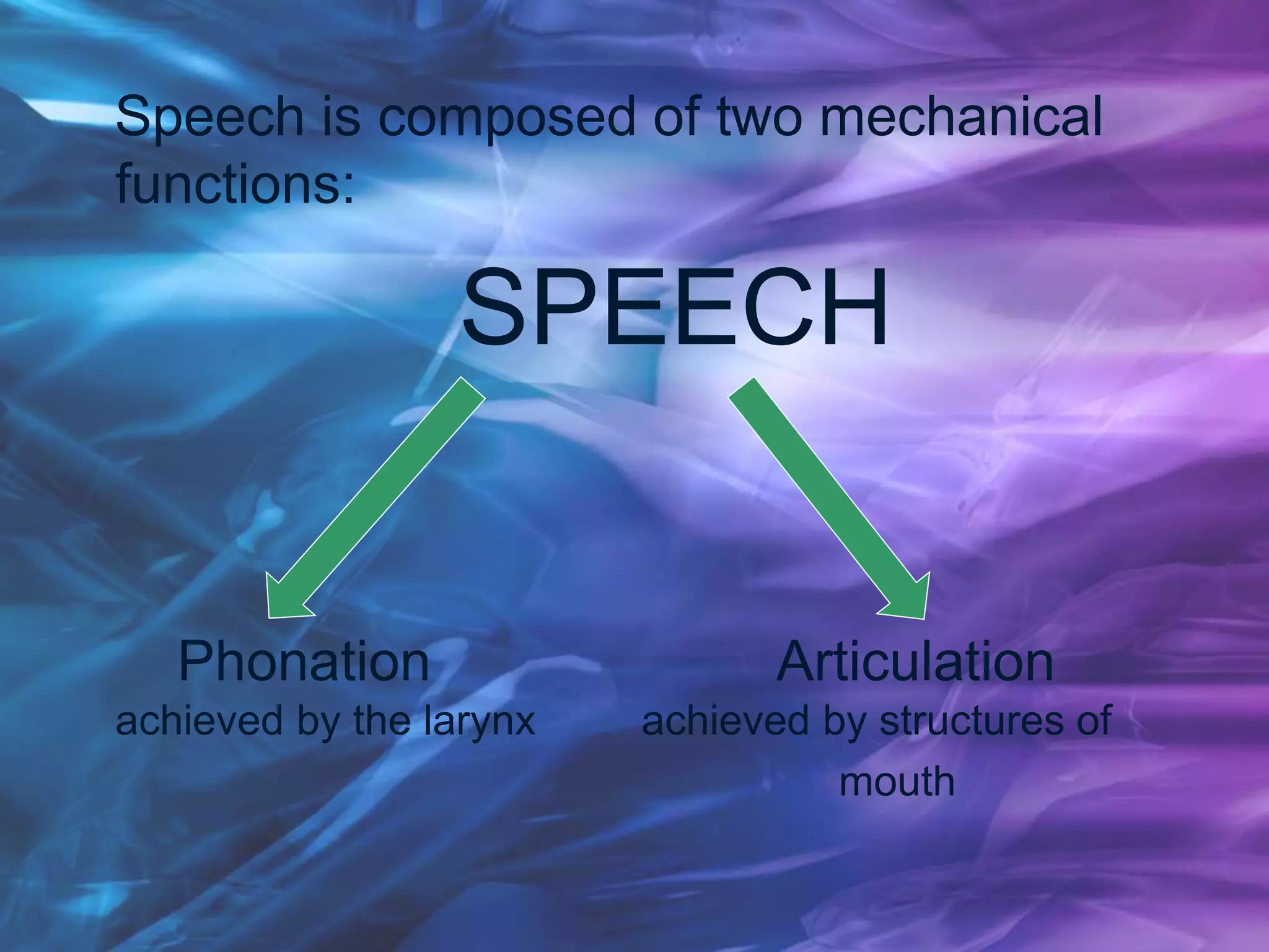 Speech is composed of two mechanical
functions:
SPEECH
Phonation Articulation
achieved by the larynx achieved by structures of
mouth
 