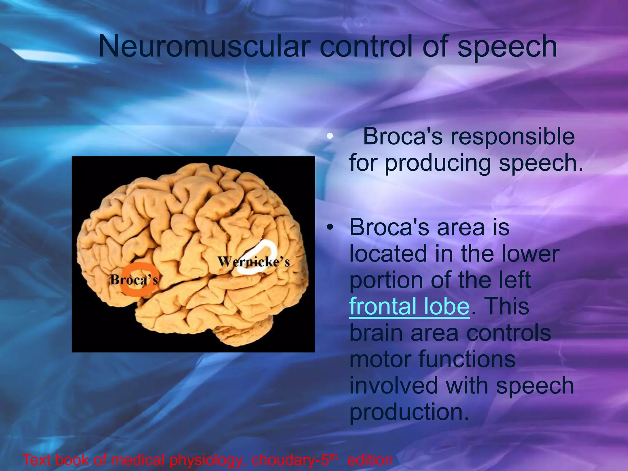 • Broca's responsible
for producing speech.
• Broca's area is
located in the lower
portion of the left
frontal lobe. This
brain area controls
motor functions
involved with speech
production.
Text book of medical physiology, choudary-5th edition
Neuromuscular control of speech
 